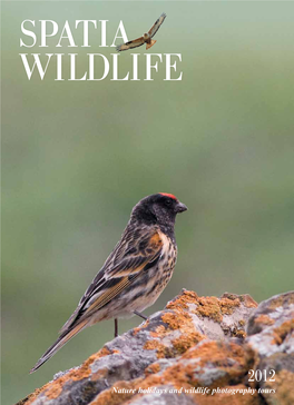 Nature Holidays and Wildlife Photography Tours Welcome to Our New Brochure Showing a Selection of 2012 Tours