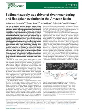 Sediment Supply As a Driver of River Meandering and Floodplain