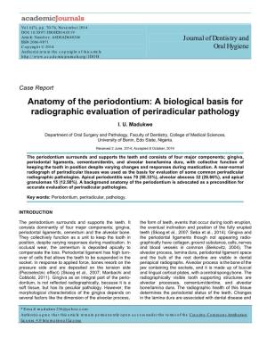 Anatomy of the Periodontium: a Biological Basis for Radiographic Evaluation of Periradicular Pathology