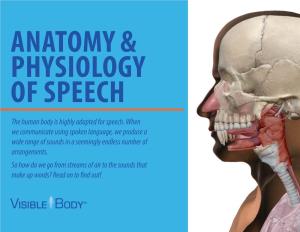 Anatomy & Physiology of Speech
