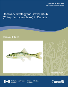 Recovery Strategy for Gravel Chub (Erimystax X-Punctatus) in Canada
