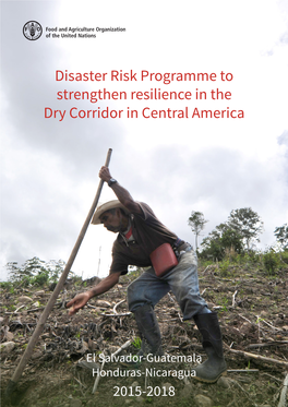 Disaster Risk Programme to Strengthen Resilience in the Dry Corridor in Central America 1 DISASTER RISK in the DRY CORRIDOR