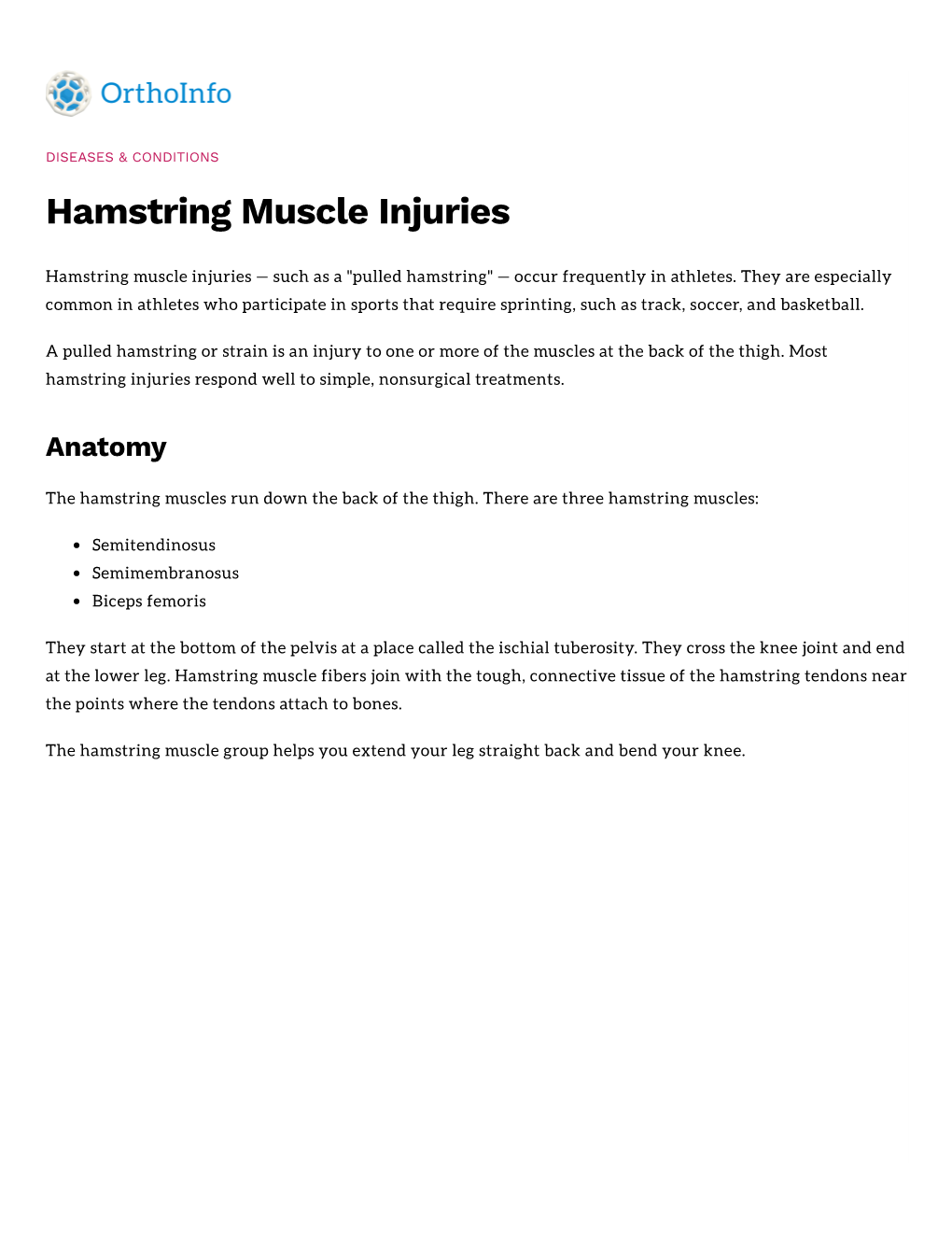 Hamstring Muscle Injuries