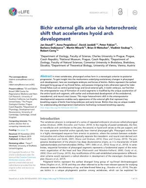 Bichir External Gills Arise Via Heterochronic Shift That Accelerates