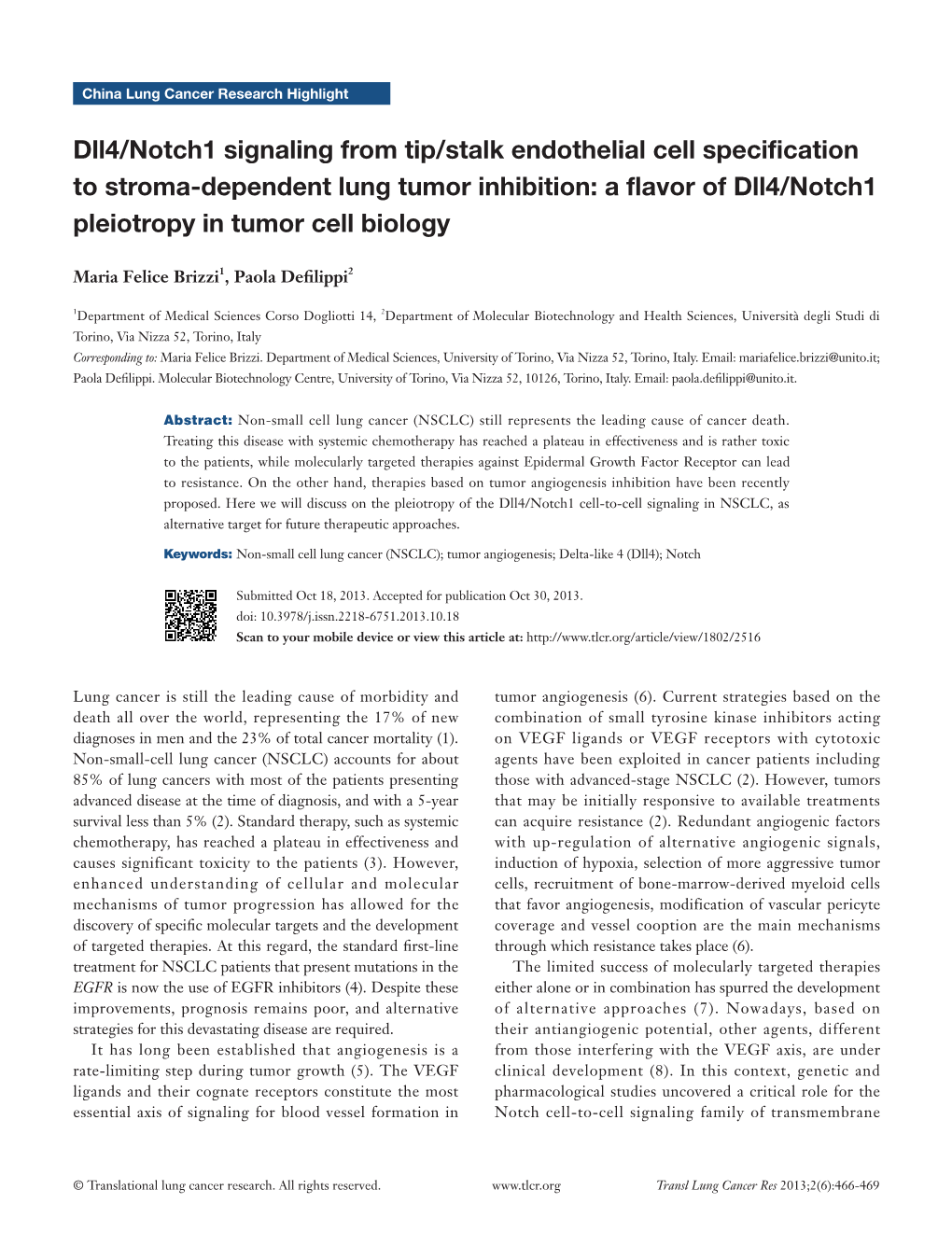 Dll4/Notch1 Signaling from Tip/Stalk Endothelial Cell Specification To