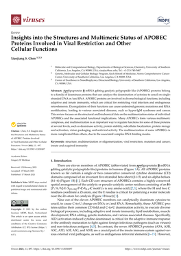 Insights Into the Structures and Multimeric Status of APOBEC Proteins Involved in Viral Restriction and Other Cellular Functions