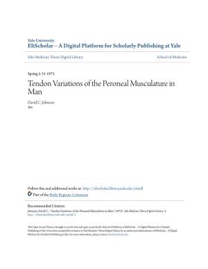 Tendon Variations of the Peroneal Musculature in Man David C