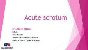 Acute Scrotum
