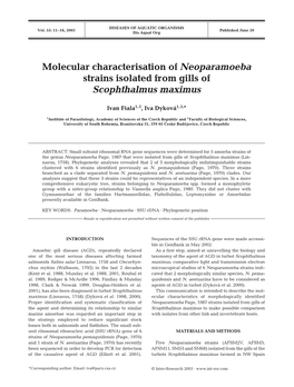 Molecular Characterisation of Neoparamoeba Strains Isolated from Gills of Scophthalmus Maximus