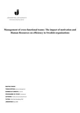 Management of Cross-Functional Teams: the Impact of Motivation and Human Resources on Efficiency in Swedish Organizations