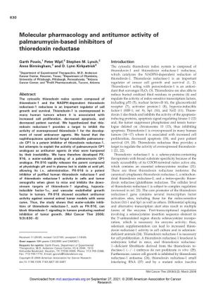 Molecular Pharmacology and Antitumor Activity of Palmarumycin-Based Inhibitors of Thioredoxin Reductase