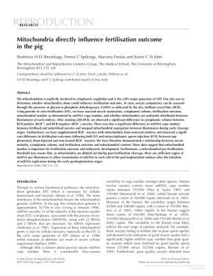 Mitochondria Directly Influence Fertilisation Outcome in The