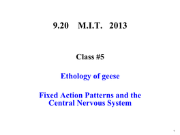 Ethology of Geese; Fixed Action Patterns and The