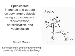 Species Tree Inference and Update on Very Large Datasets Using Approximation, Randomization, Parallelization, and Vectorization