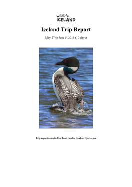 Iceland Trip Report 2015