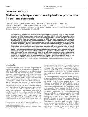 Methanethiol-Dependent Dimethylsulfide Production in Soil Environments