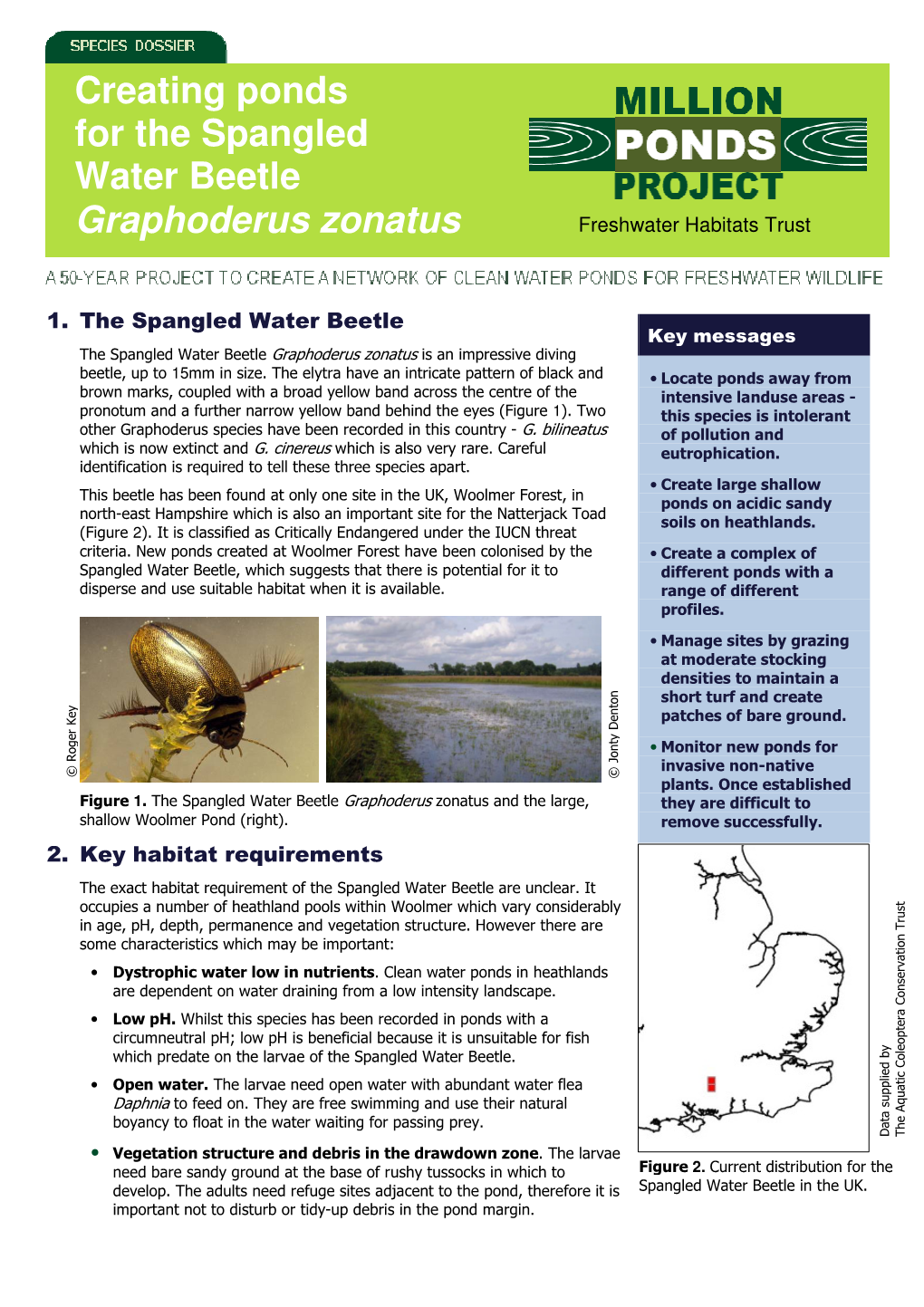 Creating Ponds for the Spangled Water Beetle Graphoderus Zonatus Freshwater Habitats Trust