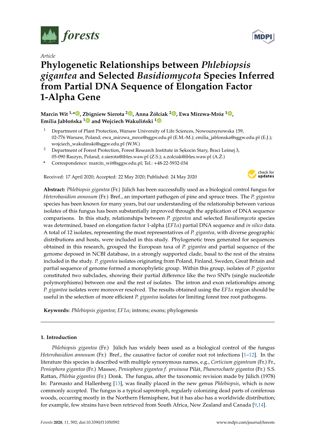 Phylogenetic Relationships Between Phlebiopsis Gigantea and Selected Basidiomycota Species Inferred from Partial DNA Sequence of Elongation Factor 1-Alpha Gene