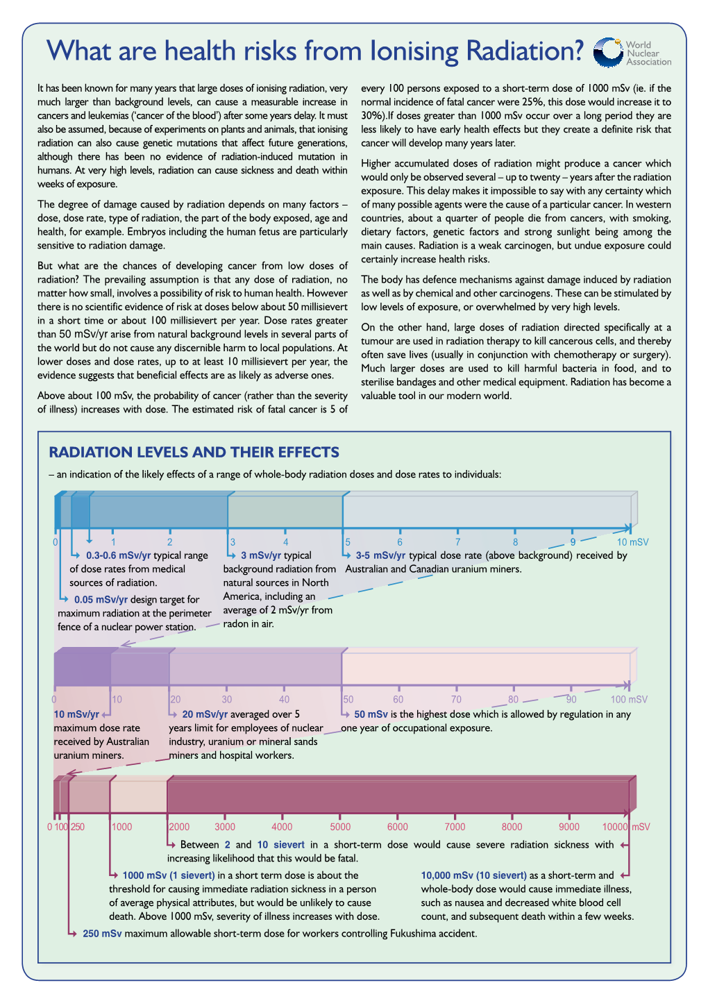 What Are Health Risks from Ionising Radiation?