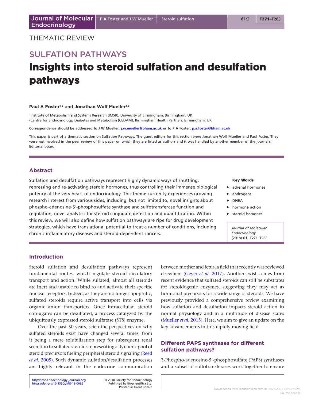 Insights Into Steroid Sulfation and Desulfation Pathways