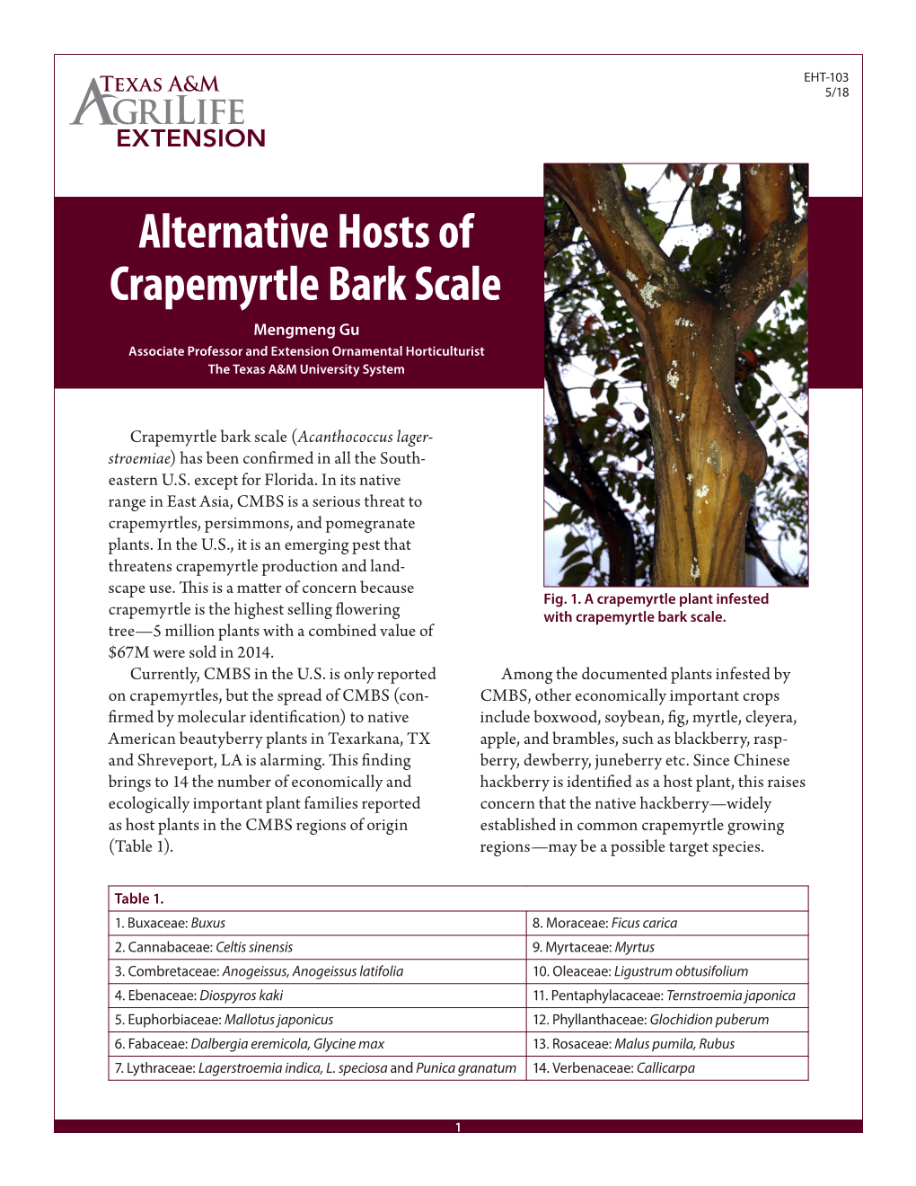 Alternative Hosts of Crapemyrtle Bark Scale Mengmeng Gu Associate Professor and Extension Ornamental Horticulturist the Texas A&M University System