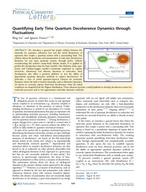 Quantifying Early Time Quantum Decoherence Dynamics Through
