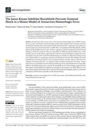 The Janus Kinase Inhibitor Ruxolitinib Prevents Terminal Shock in a Mouse Model of Arenavirus Hemorrhagic Fever