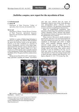 Suillellus Comptus, New Report for the Mycobiota of Iran