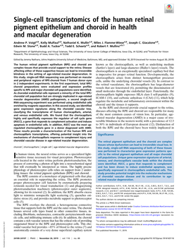 Single-Cell Transcriptomics of the Human Retinal Pigment Epithelium and Choroid in Health and Macular Degeneration