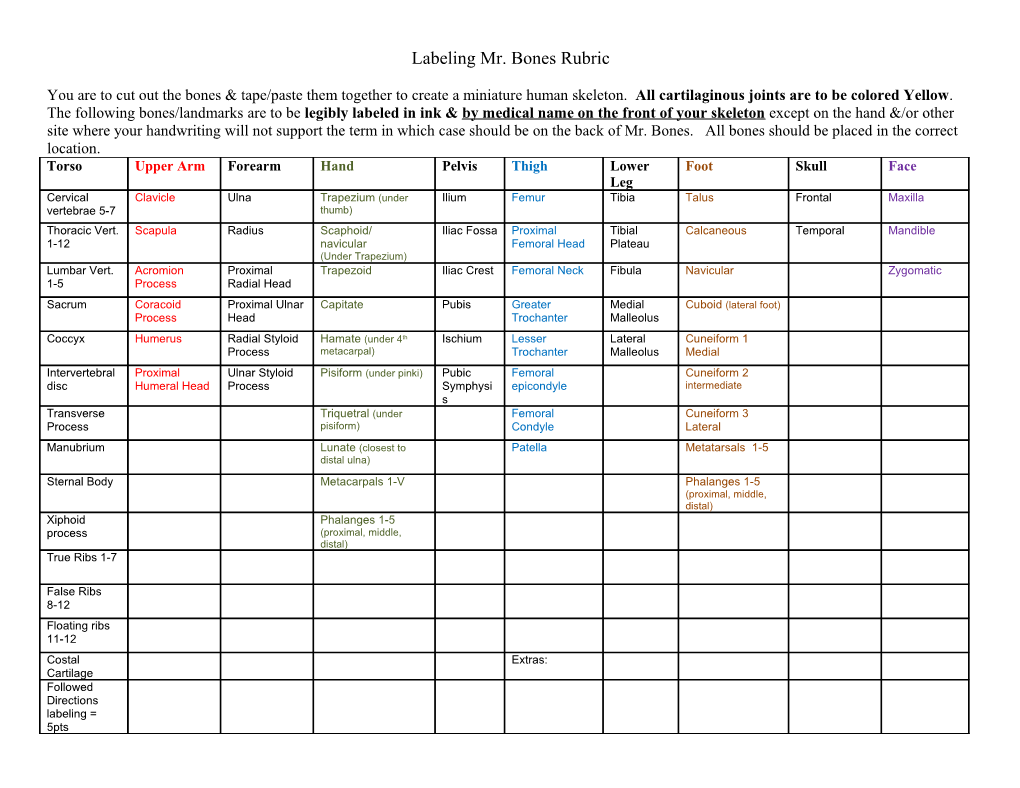 Labeling Mr. Bones Rubric