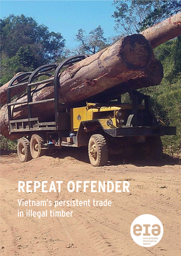 Repeat Offender: Vietnam's Persistent Trade in Illegal Timber