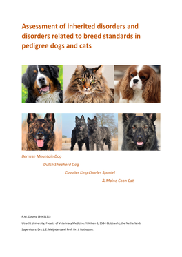 Assessment of Inherited Disorders and Disorders Related to Breed Standards in Pedigree Dogs and Cats