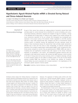 Hypothalamic Agouti&#X2010;Related Peptide