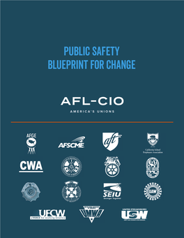 Public Safety Blueprint for Change