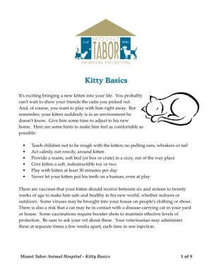 Kitty Basics