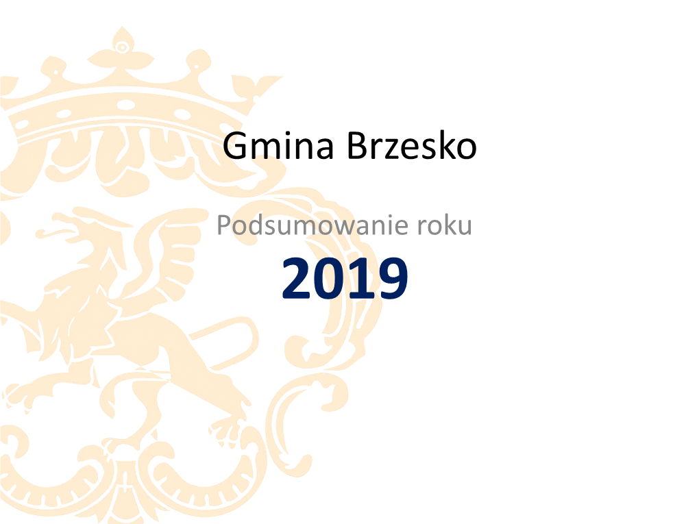 2019 Budżet Gminy