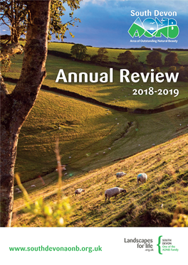 Annual Review 2018-2019