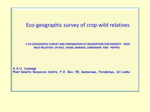 Eco-Geographic Survey of Crop Wild Relatives