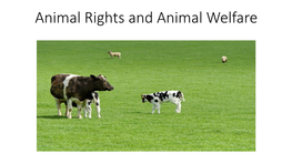 Tom Regan and Animal Rights