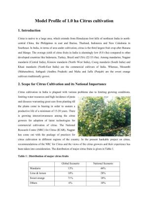 Model Profile of 1.0 Ha Citrus Cultivation