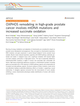OXPHOS Remodeling in High-Grade Prostate Cancer Involves Mtdna Mutations and Increased Succinate Oxidation