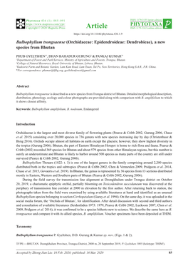 Bulbophyllum Trongsaense (Orchidaceae: Epidendroideae: Dendrobieae), a New Species from Bhutan