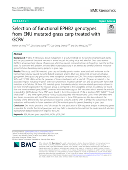 Selection of Functional EPHB2 Genotypes from ENU Mutated Grass