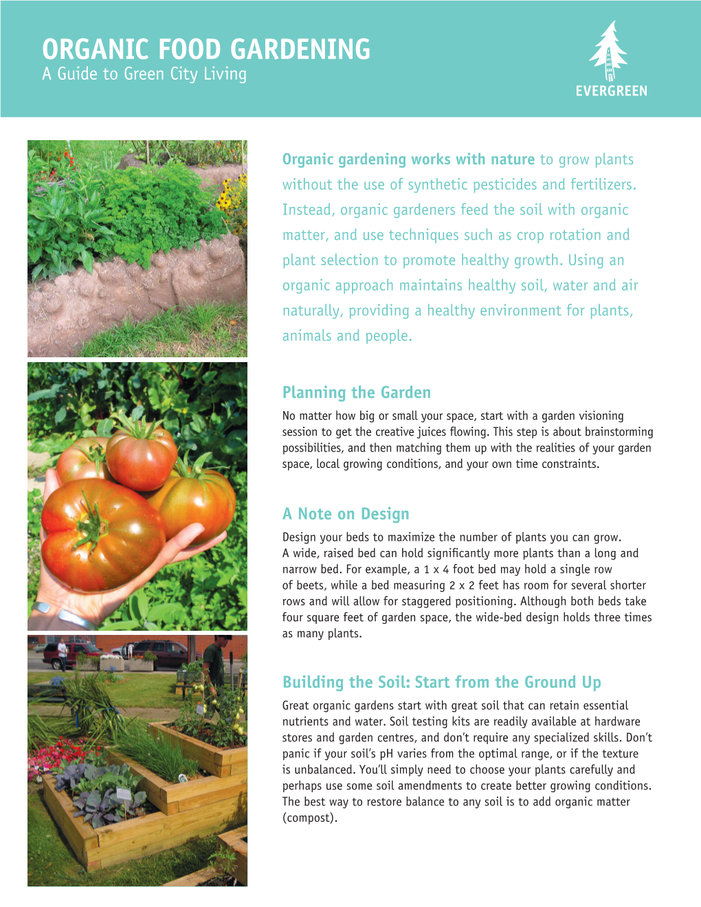 Organic Food Gardening: a Guide to Green City Living