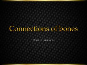Connections of Bones