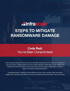 Steps to Mitigate Ransomware Damage