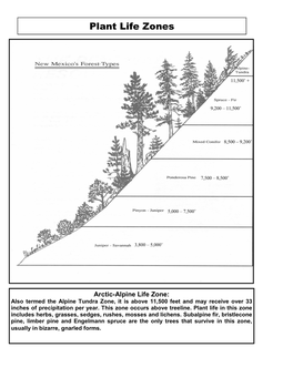 Plant Life Zones