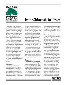 Iron Chlorosis in Trees