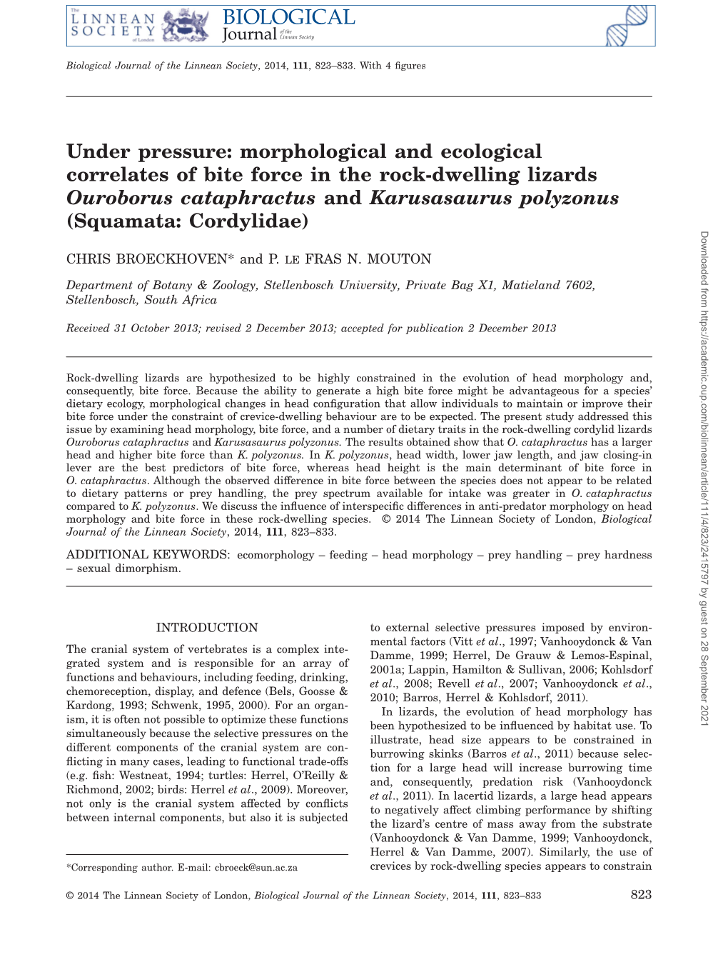 Morphological and Ecological Correlates of Bite Force in the Rockdwelling Lizards Ouroborus Cataphractus And