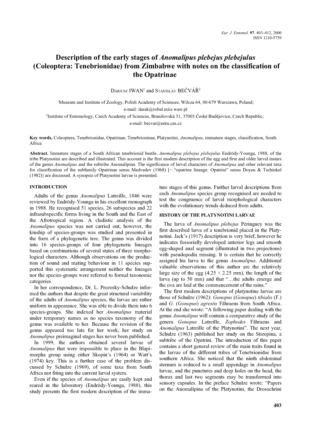 Description of the Early Stages of Anomalipus Plebejus Plebejulus